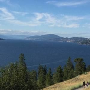 Meet your Posher, Abrahim